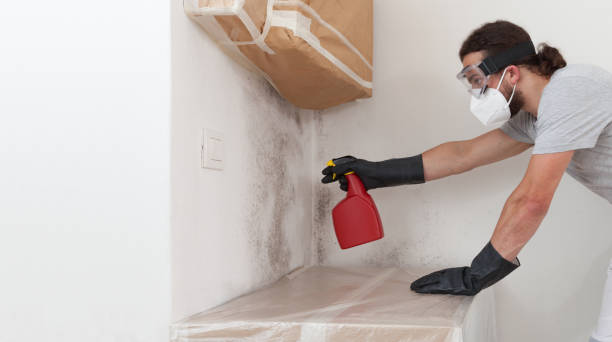 Professional Mold Cleanup technician working in Leonardo, NJ