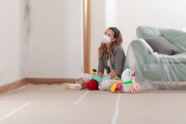 Reliable Mold Cleanup contractor in Leonardo, NJ by Cheap Mold Removal